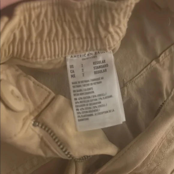 American Eagle Tan Cargo Pants - Picture 4 of 5